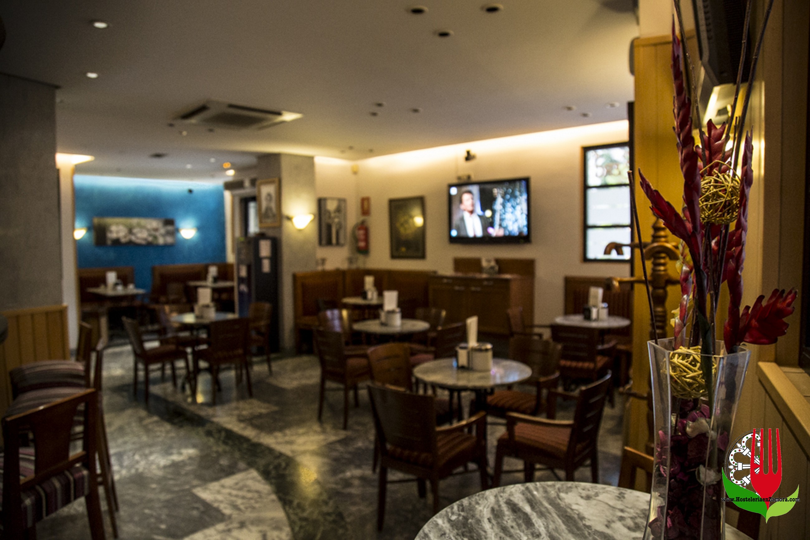 Café Thalberg, un remanso de paz en la ruta por la Zamora antigua