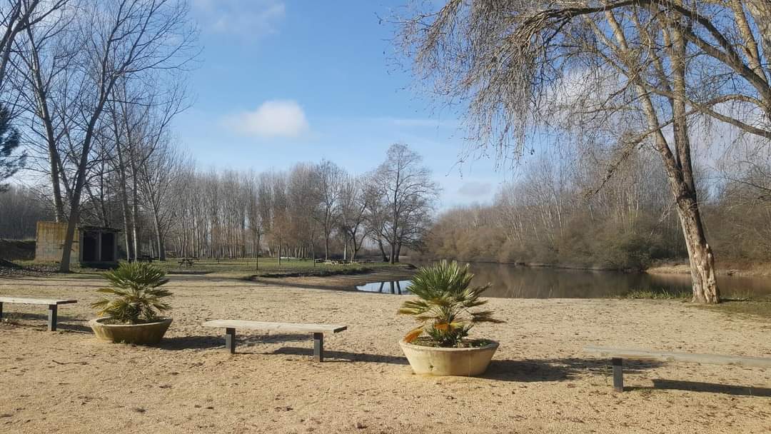 Ruta Santibañesa del Tera, un paisaje junto al agua con un Bosque