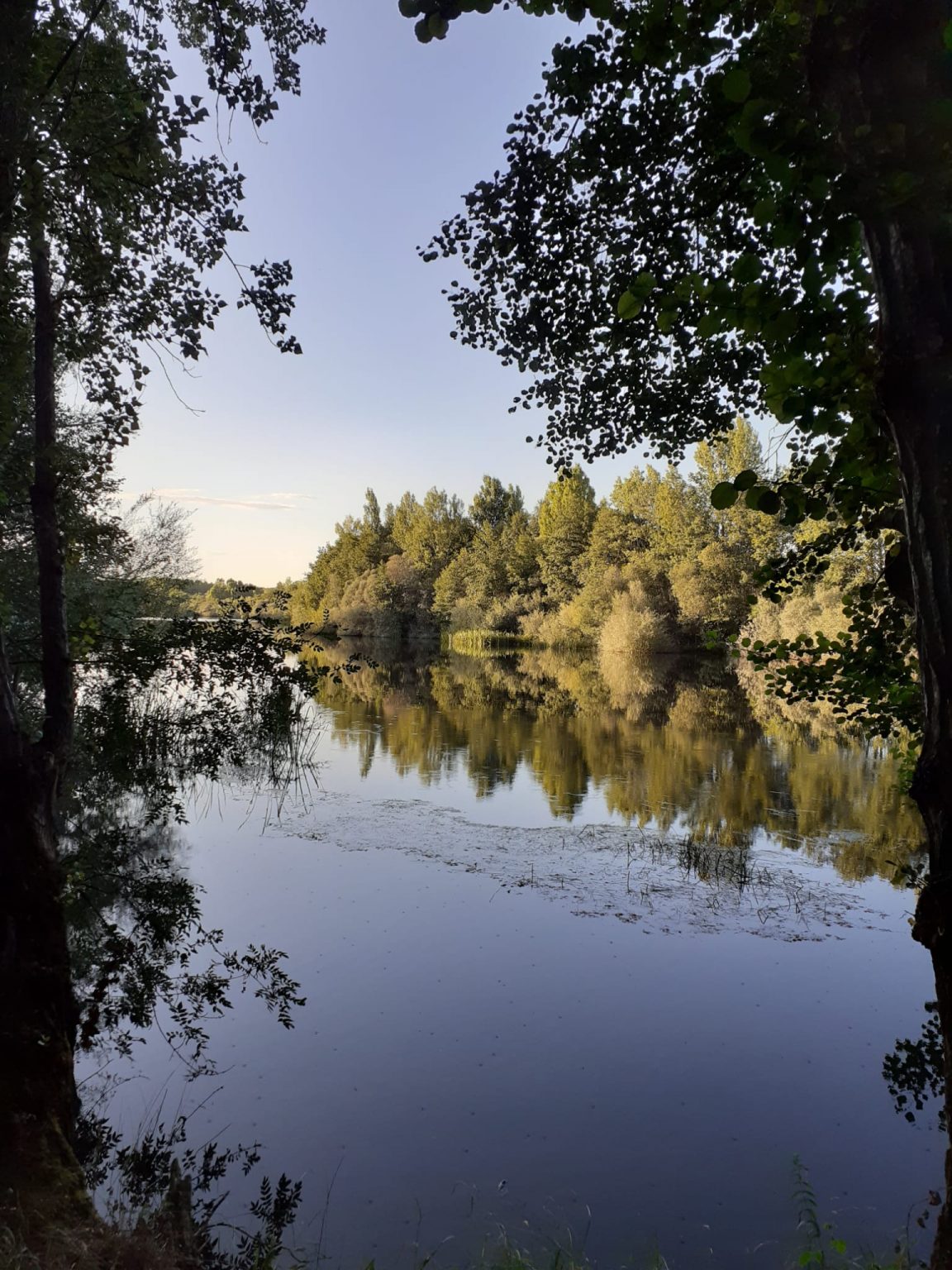 Ruta Santibañesa del Tera, un paisaje junto al agua con un Bosque