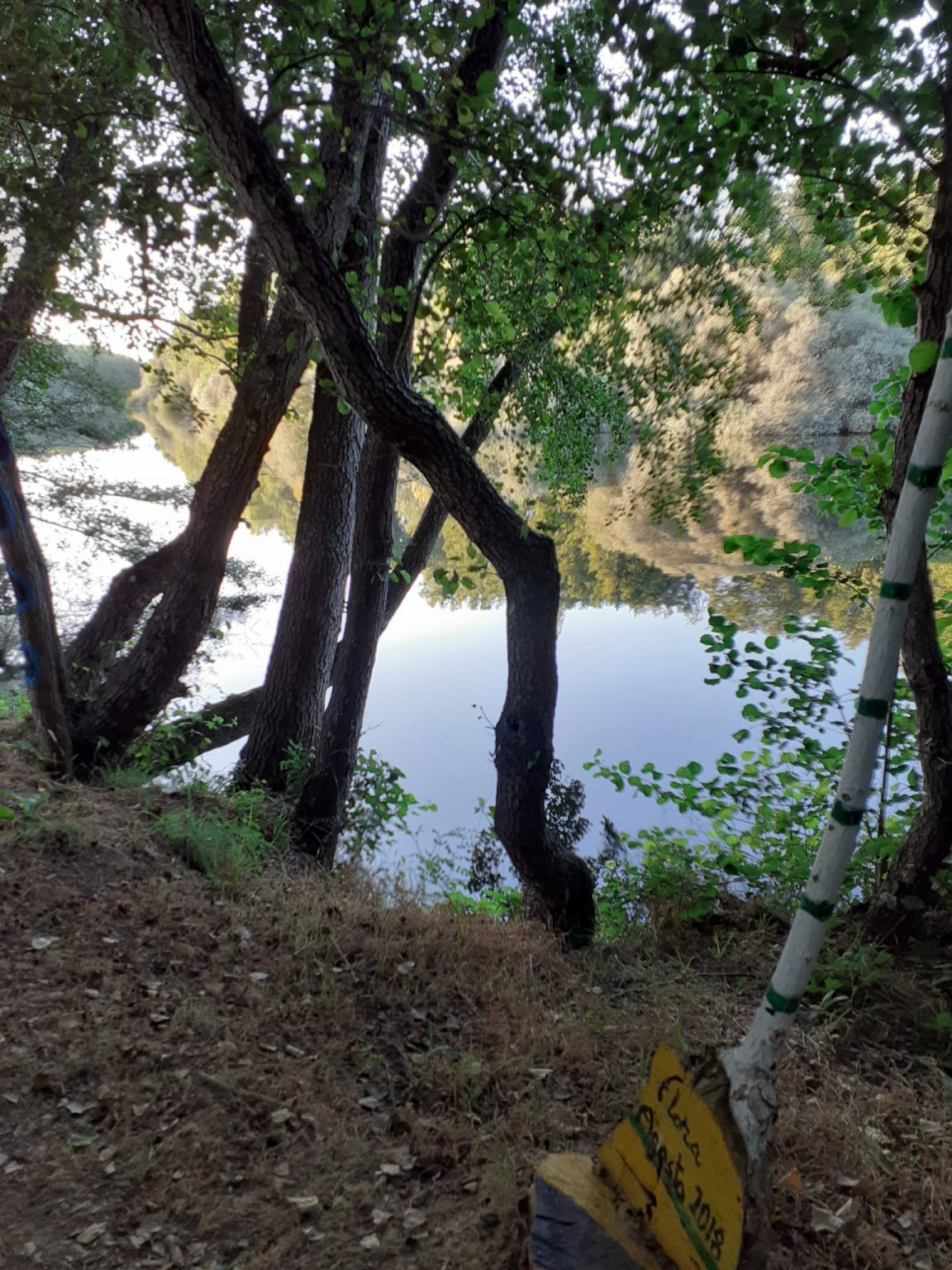 Ruta Santibañesa del Tera, un paisaje junto al agua con un Bosque