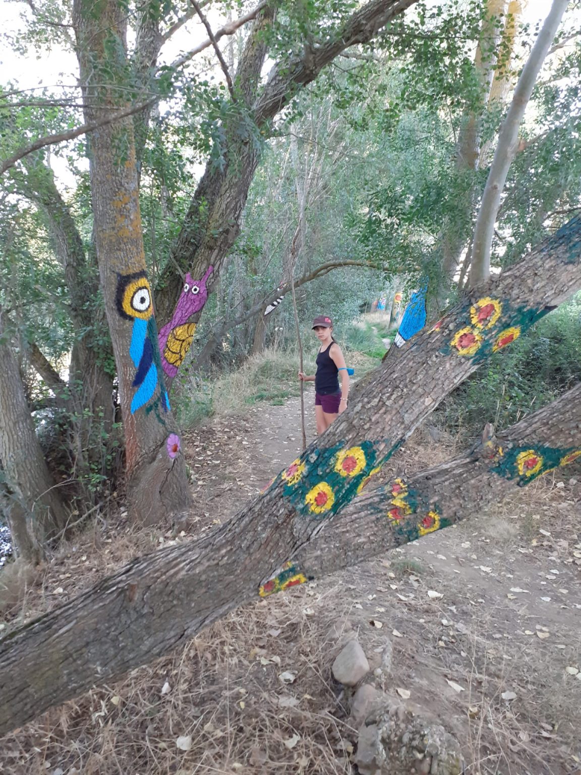 Ruta Santibañesa del Tera, un paisaje junto al agua con un Bosque
